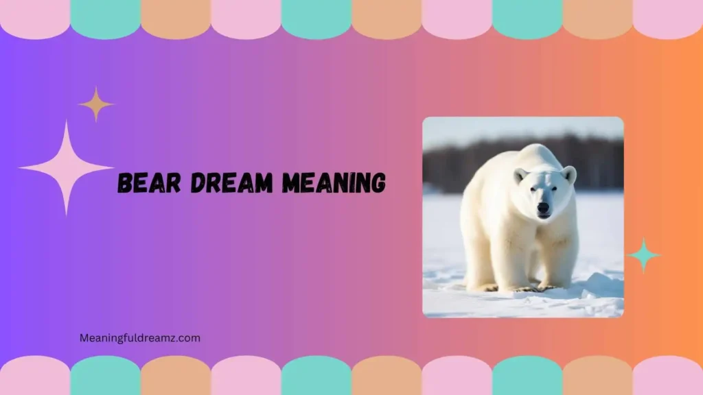 bear dream meaning