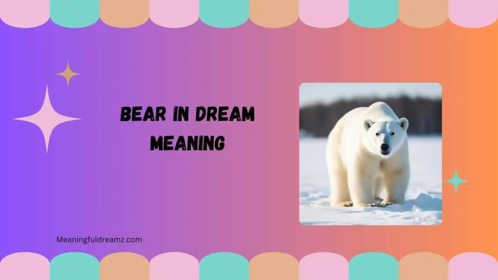 bear in dream meaning
