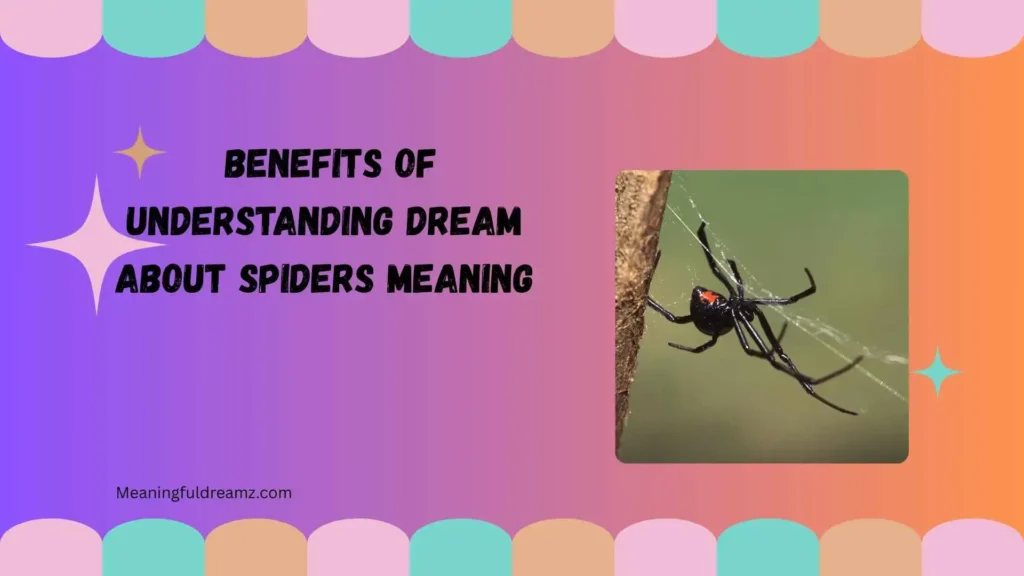 Benefits of Understanding Dream About Spiders Meaning