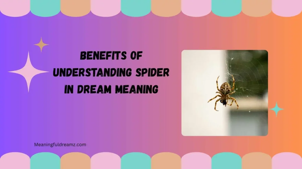 Benefits of Understanding Spider in Dream Meaning