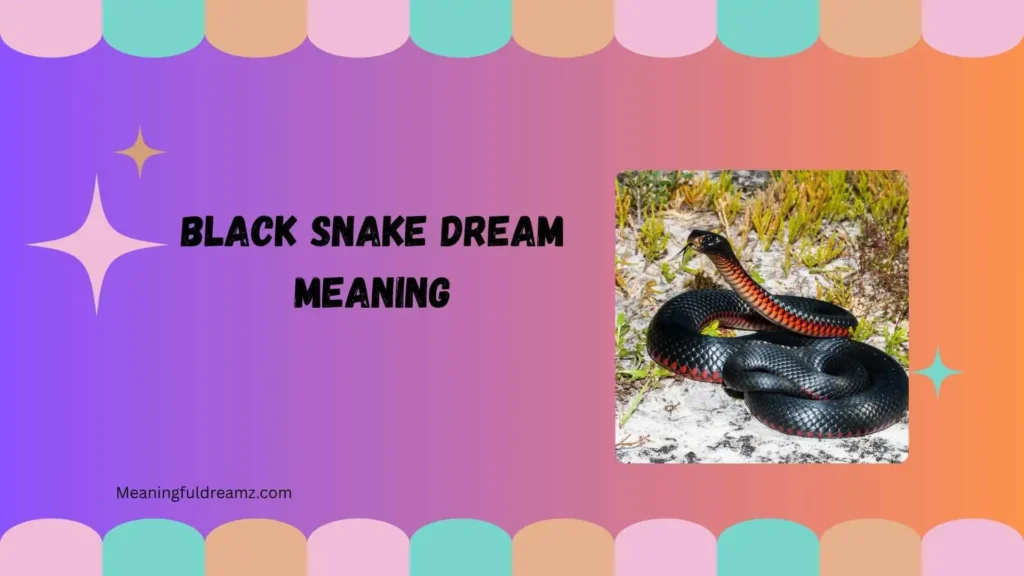 black snake dream meaning