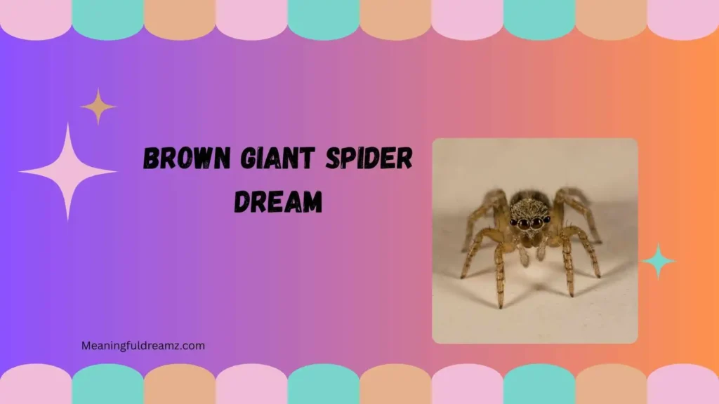 Brown giant spider dream