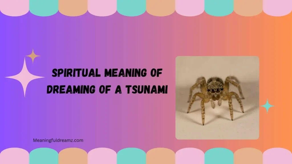 Brown Giant Spider Dream Meaning