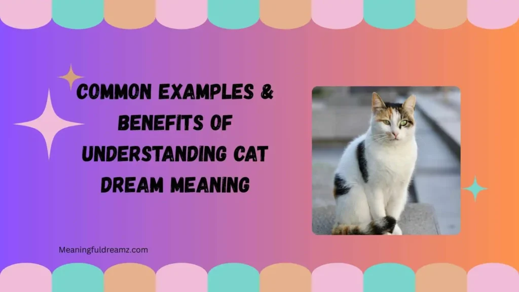 Common Examples & Benefits of Understanding Cat Dream Meaning