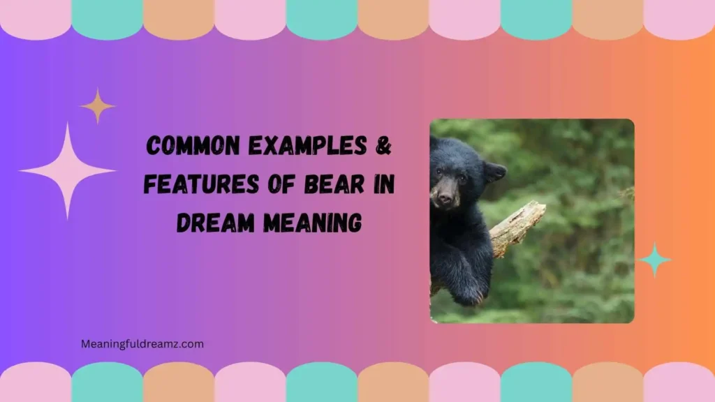 Common Examples & Features of Bear in Dream Meaning