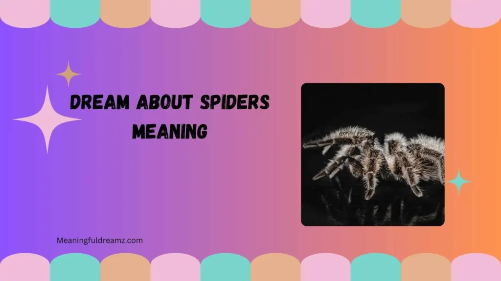 Dream About Spiders Meaning