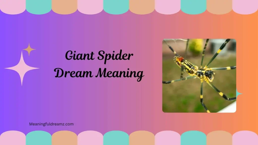 Dream of Big Spider Meaning