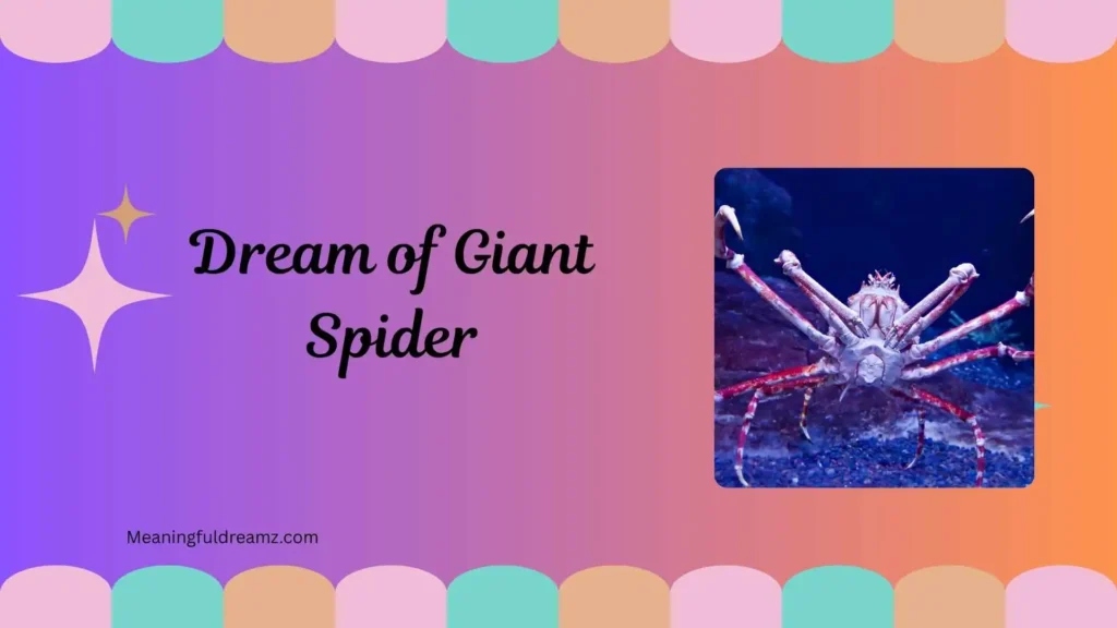 Dream of Giant Spider
