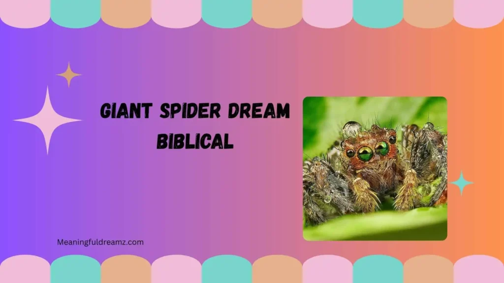 Giant spider dream Biblical