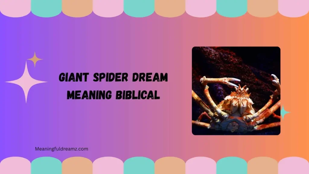 Giant Spider Dream Meaning Biblical