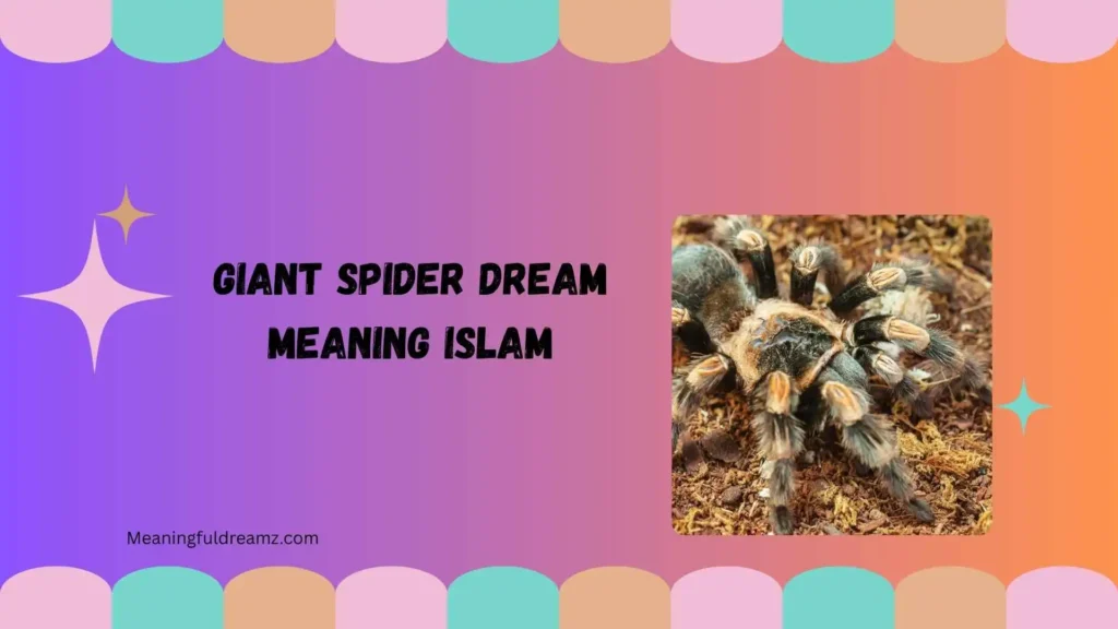 Giant Spider Dream Meaning Islam