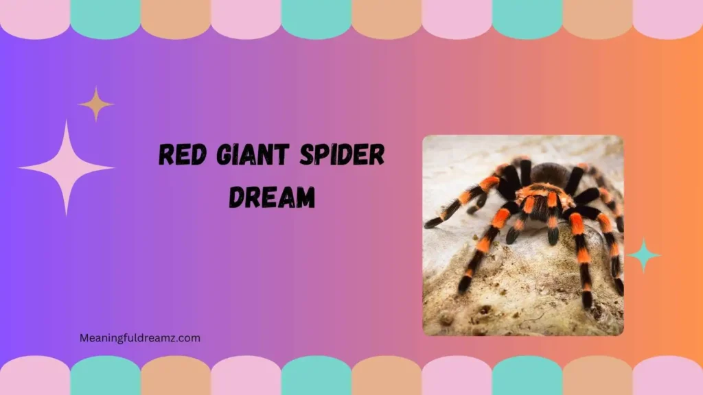Red giant spider dream