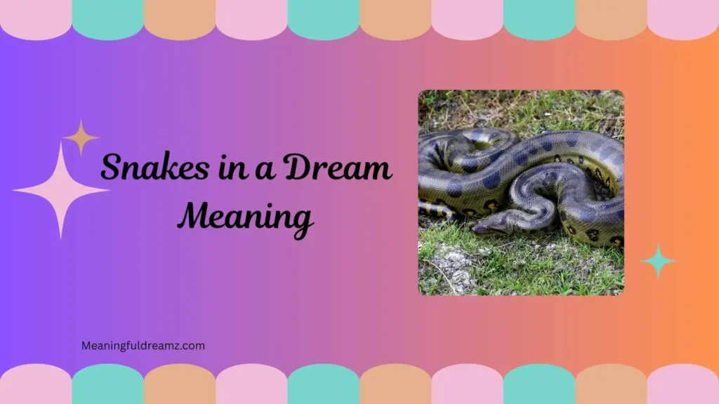 Seeing Snake in Dream Is Good or Bad