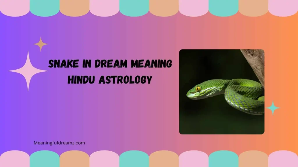 Snake in Dream Meaning Hindu Astrology
