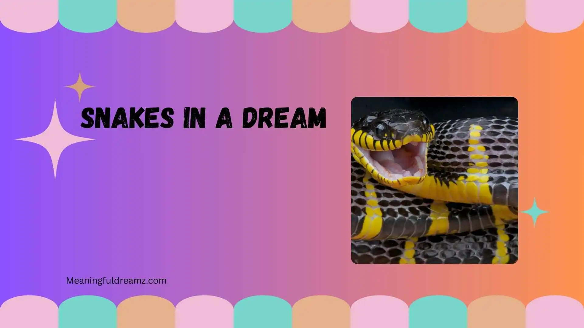 Snakes in a Dream