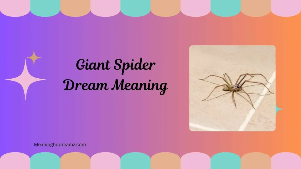 Spider in Dream Islam Meaning