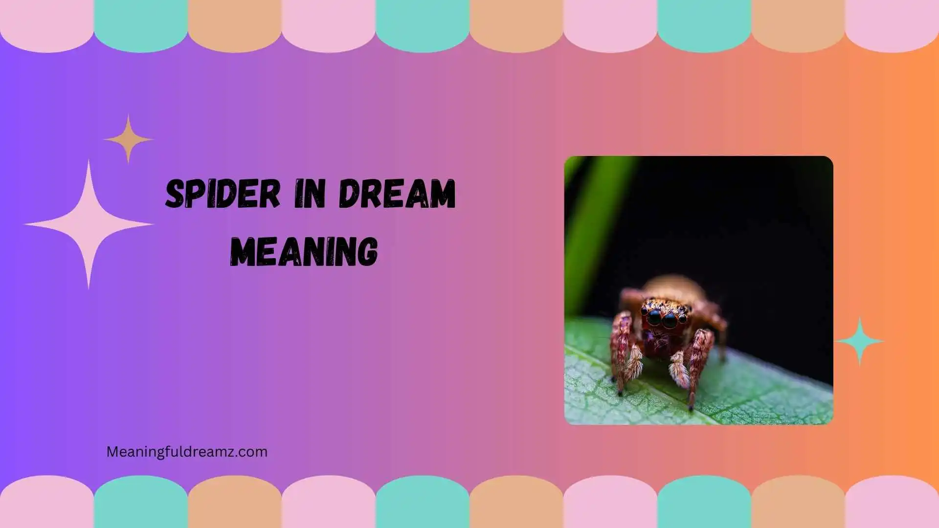 Spider in Dream Meaning