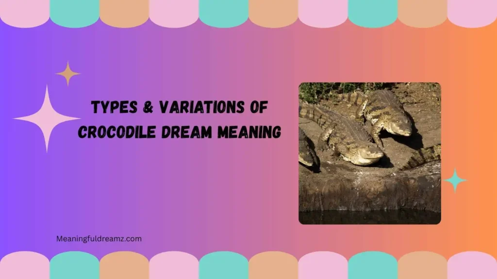 Types & Variations of Crocodile Dream Meaning