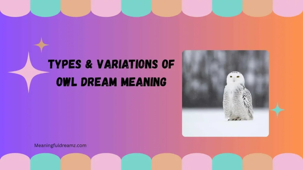 Types & Variations of Owl Dream Meaning