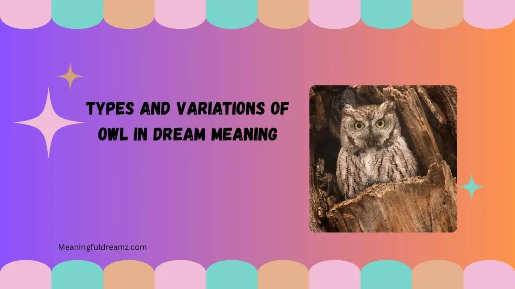 Types and Variations of Owl in Dream Meaning