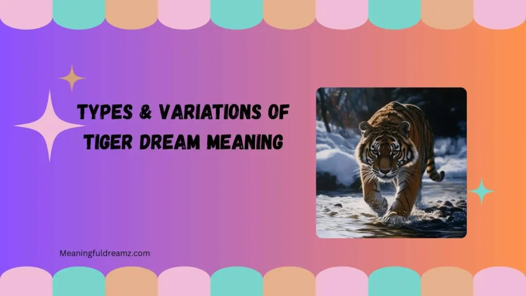 Types & Variations of Tiger Dream Meaning