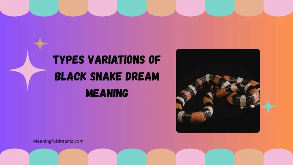 Types Variations of Black Snake Dream Meaning