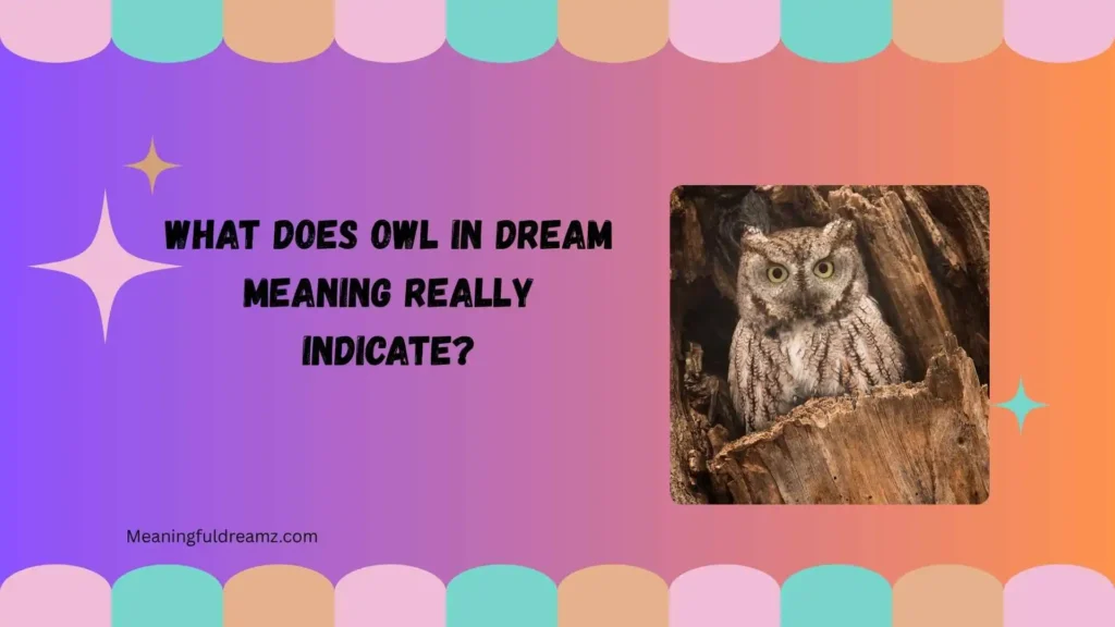 What Does Owl in Dream Meaning Really Indicate?