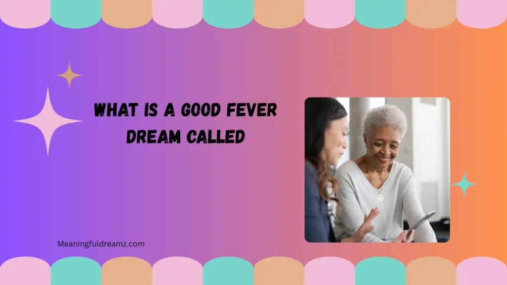 What is a good fever dream called