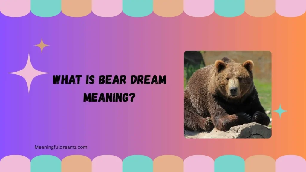 What Is Bear Dream Meaning?
