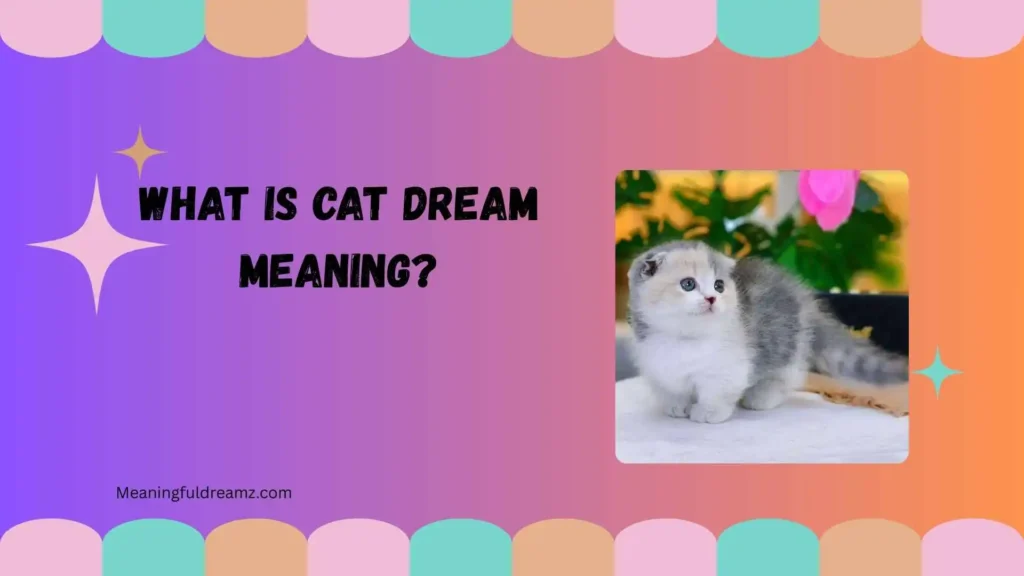 What Is Cat Dream Meaning?