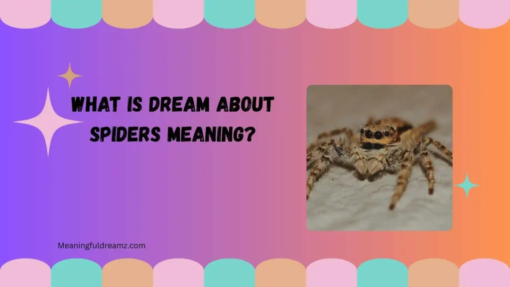 What Is Dream About Spiders Meaning?