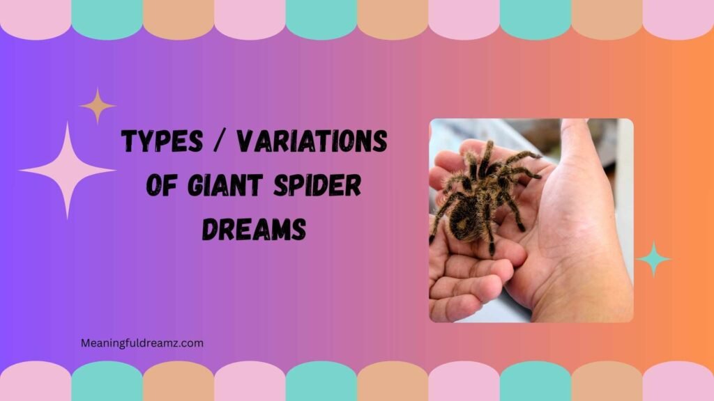 Types / Variations of Giant Spider Dreams
