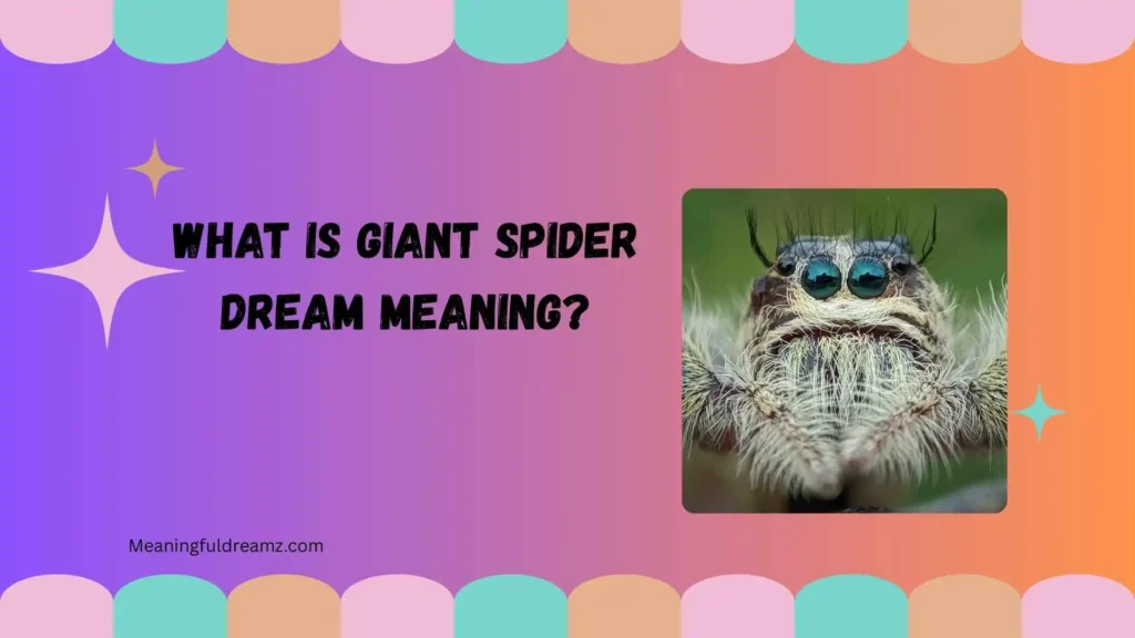 What Is Giant Spider Dream Meaning?