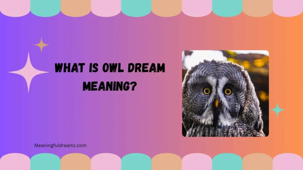 What Is Owl Dream Meaning?