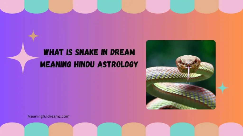 What Is Snake in Dream Meaning Hindu Astrology?