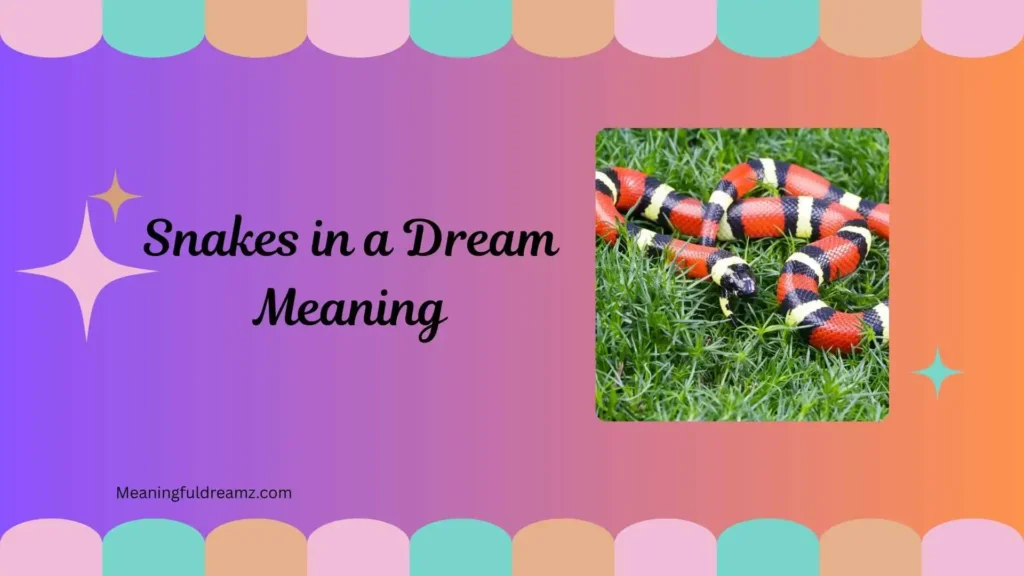 What Is the Biblical Meaning of Snakes in a Dream?