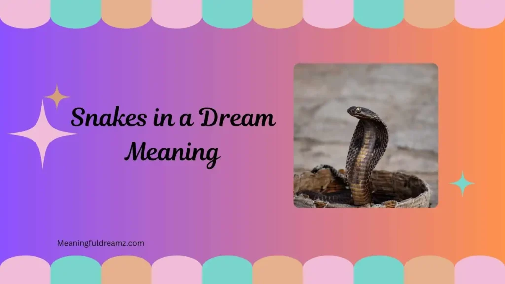 Why Does the Biblical Meaning of Snake Dreams Matter?