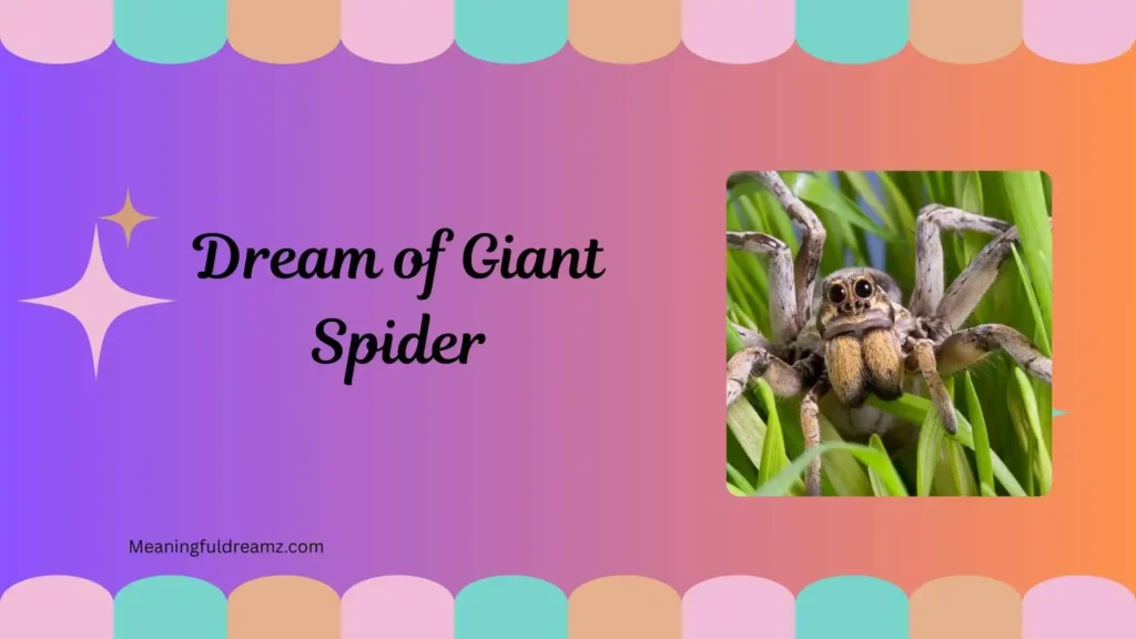 Wolf Spider Dream Meaning