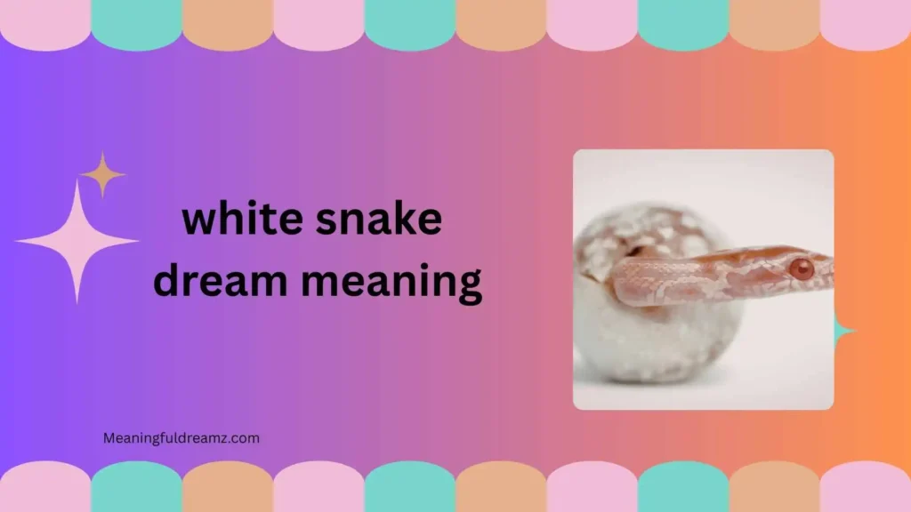 What Is White Snake Dream Meaning?