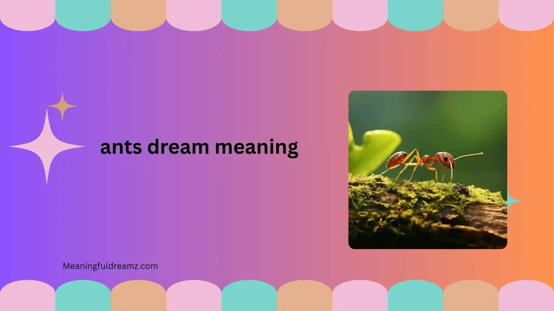 ants dream meaning