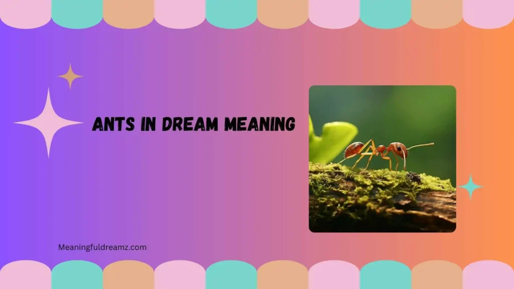 ants in dream meaning