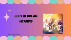 bees in dream meaning
