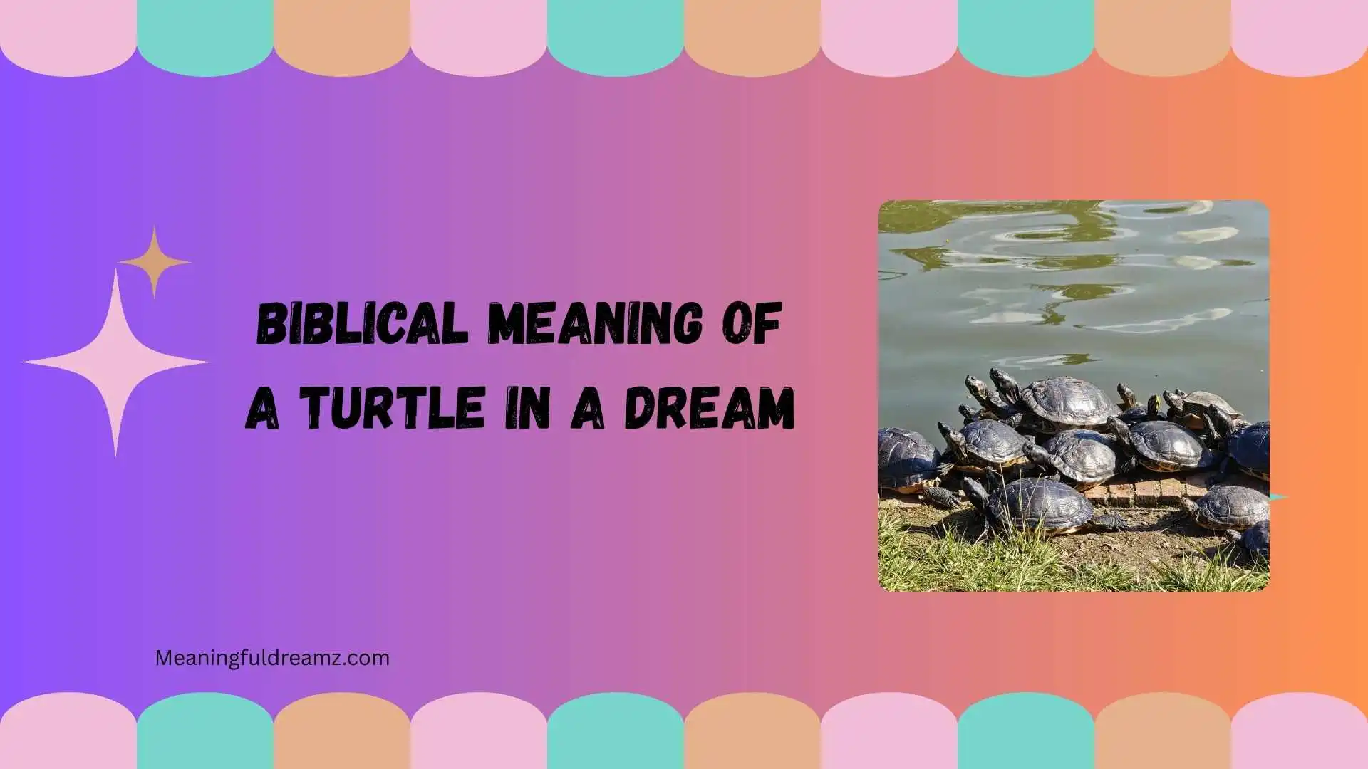 biblical meaning of a turtle in a dream