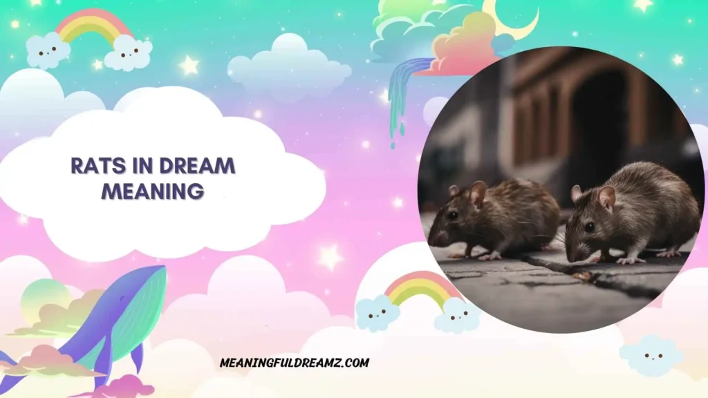 Biblical Perspective on Rats in Dream Meaning
