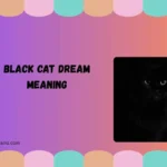 black cat dream meaning