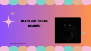black cat dream meaning