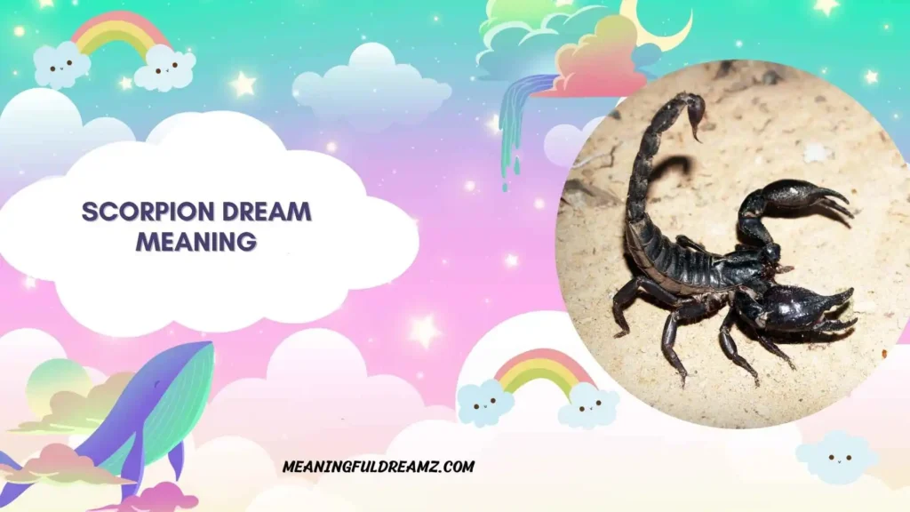 Black Scorpion Dream Meaning