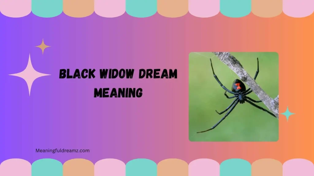 black widow dream meaning