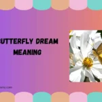 butterfly dream meaning