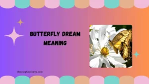 butterfly dream meaning